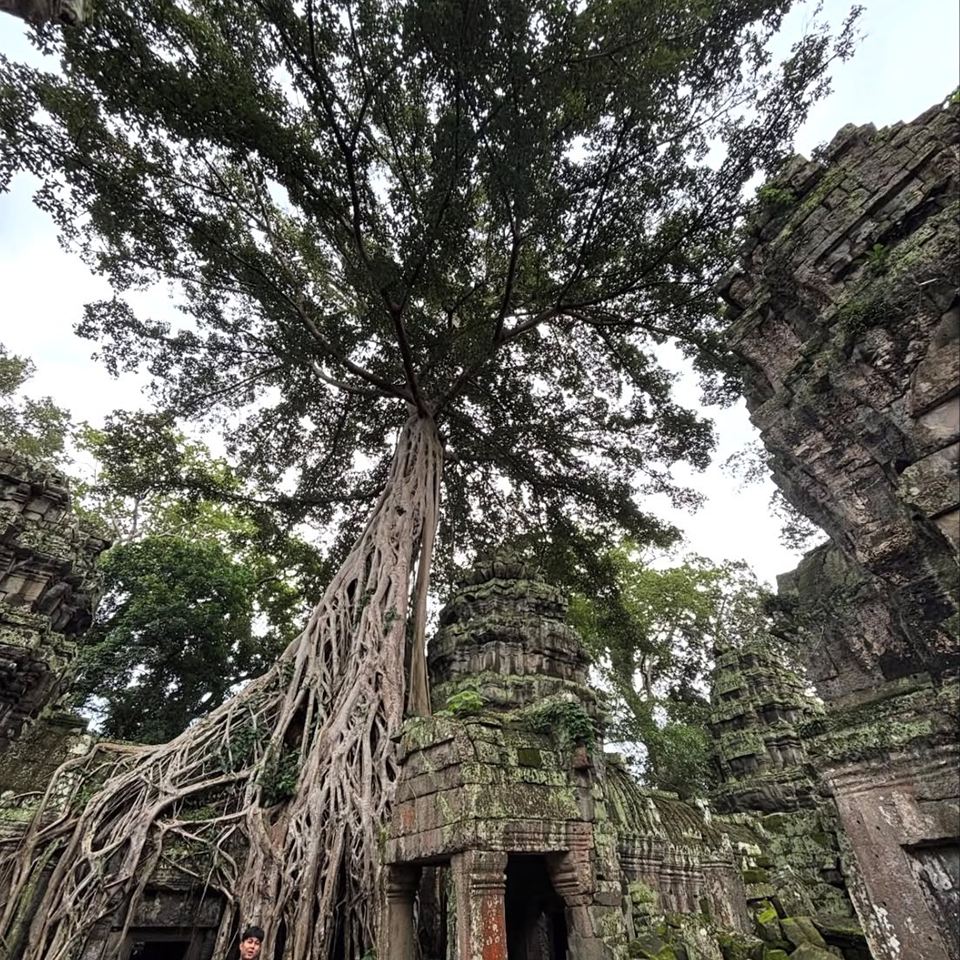 Camboya